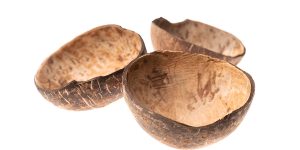 steptodown.com875646