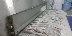 wtNZ0BTJyt-OBgyXUNsSZdx8Mc7CgAsP1fE_9eWzmIzlHhsYgNryzpwFv6kjv4-Yzo1t7_o0W8-0_MTUifi4YVGDChtYCjvMUSq4gGOzW9OXtaeL6b8a79fH4lrGkdRAMBqIcgxBXhqBs7X3MK4WNPLlhj7Ar0ivIXWBHo7aA5NKS5Z-OR43N35CBXlRWgRV